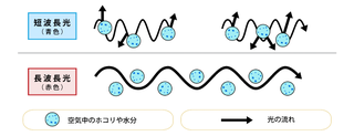 短波長.png